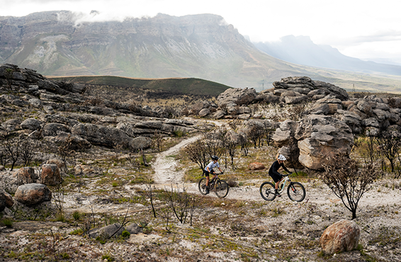 5 Fakten über ergonomische Griffe von SQlab, die jeder Radfahrer kennen sollte