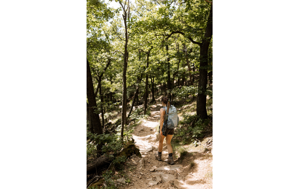 Kühle Auszeit in der Wachau: Wandern, wo der Sommer seine beste Seite zeigt