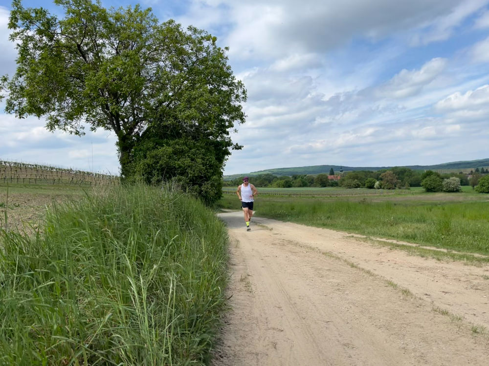 Spontan 1000 Höhenmeter: Der Salomon Ultra Glide 4 im Härtetest