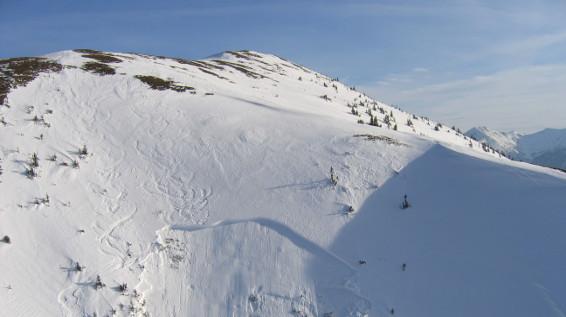 Die Natur im Blick bei Skitouren / Bild: Alpinpolizei