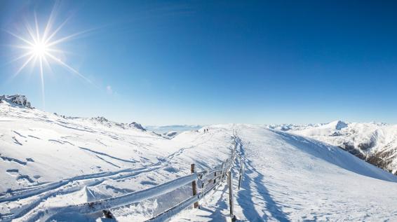 Am Nockberge Trail / Bild: Tine Steinthaler Am Nockberge Trail / Bild: Tine Steinthaler