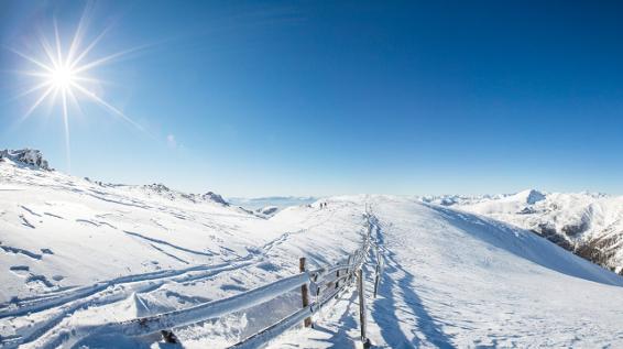 Am Nockberge Trail / Bild: Tine Steinthaler