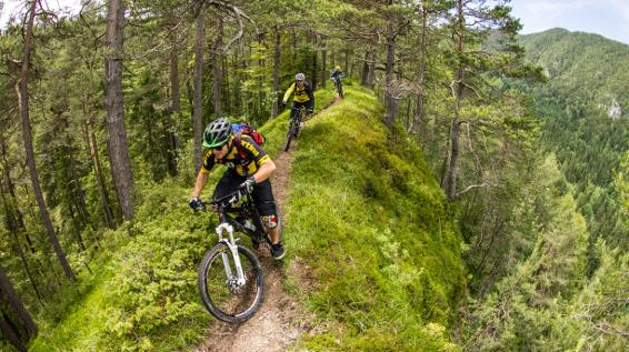 Trailparadies Kärnten: Paco Wrolich über "sein Bikeland" / Bild: Erwin Haiden