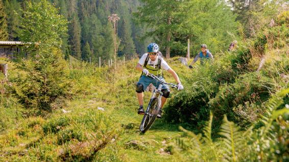 MTB-Region Bad Kleinkirchheim: Almrausch mit Nocken / Bild: BRM Mathias Praegant / Bad Kleinkirchheim