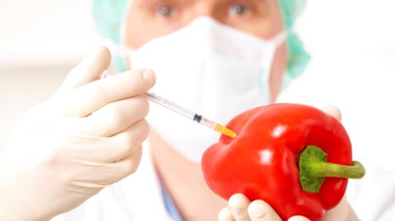 9 Tipps für sauberes Essen: Sind verarbeitete Lebensmittel immer schlecht? / Bild: iStock / Humonia 9 Tipps für sauberes Essen: Sind verarbeitete Lebensmittel immer schlecht? / Bild: iStock / Humonia