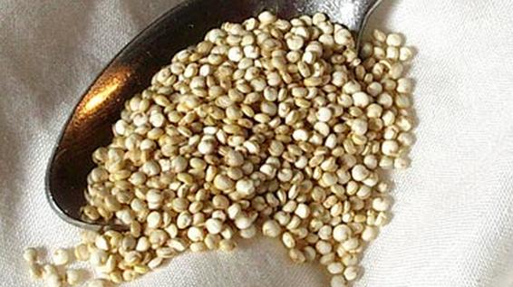 Die 11 besten Eiweißquellen für Vegetarier: Quinoa / Bild: KK