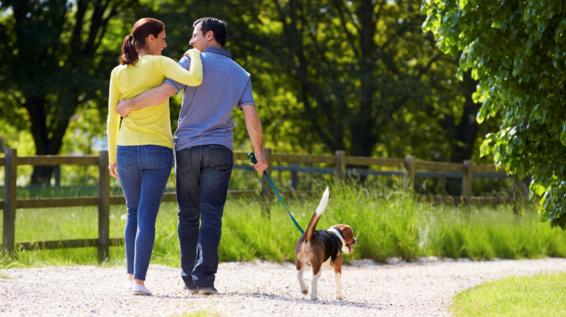 30 Minuten täglich: Die gesundheitlichen Benefits von Spaziergängen / Bild: iStock / monkeybusinessimages