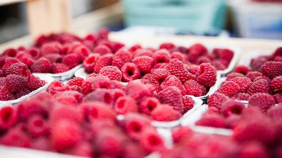 Die Ernährungspyramide ... erklärt in 7 Schritten / Bild: KK