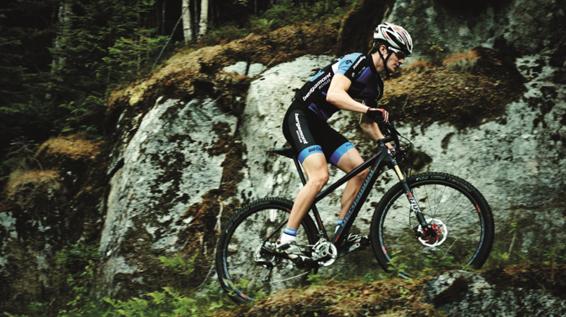 Im Schaufenster: 3 Hardtails im Vergleich / Bild: Bergamont