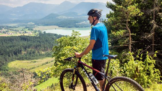 Mountainbiken in der Region Klopeiner See - Südkärnten: Kitzelberg-Tour / Bild: Franz Gerdl