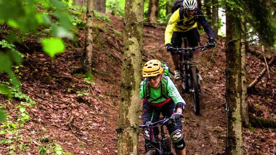 MTB-Tour in der Region Klopeiner See - Südkärnten: Jamnica-Runde / Bild: Erwin Haiden