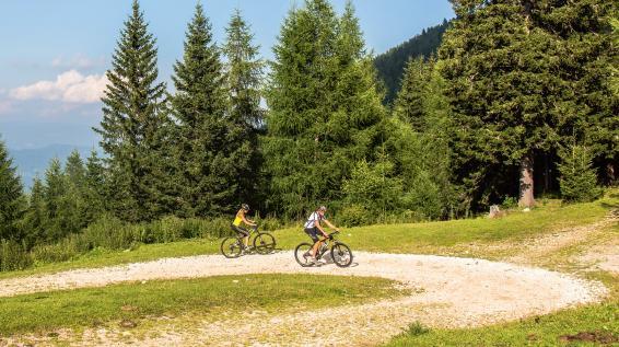 Mountainbiken in der Region Klopeiner See - Südkärnten: Wackendorfer Alm / Bild: Franz Gerdl