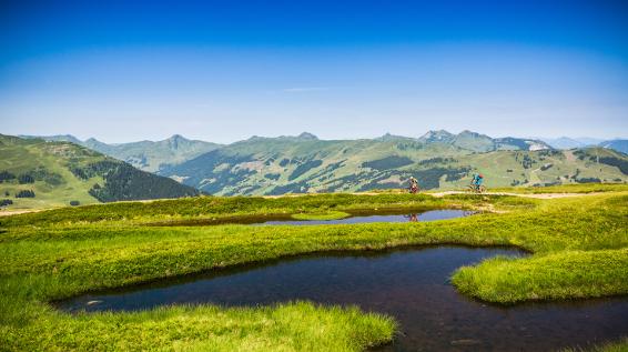 Bike-Action pur: Hacklberg Trail / Bild: Saalbach / Bause