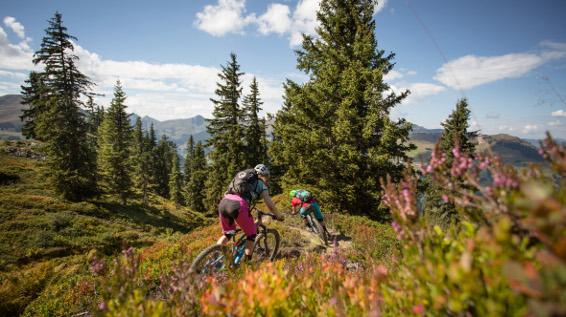 Bike-Action pur: Bergstadl Trail / Bild: Saalbach / David Schultheiss