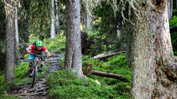Bike-Action pur: Wurzel Trail / Bild: Saalbach / David Schultheiss