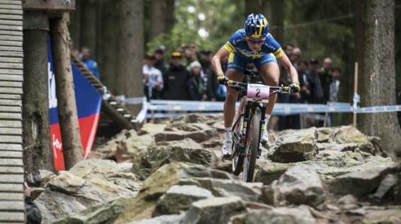 Mountainbike-Kategorien im Überblick: Das Cross-Country- / Race-Bike / Bild: Scott