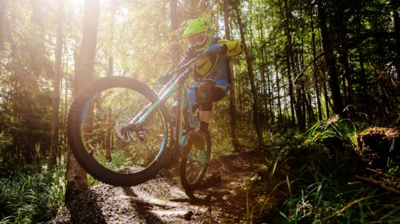 Mountainbike-Kategorien im Überblick: Das Downhill- / Freeride-Bike / Bild: Bergamont Mountainbike-Kategorien im Überblick: Das Downhill- / Freeride-Bike / Bild: Bergamont
