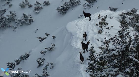 Bildergalerie: User präsentieren ihre eindrucksvollsten Fotos auf mountix.com / Bild: Sibylle Ruhland Bildergalerie: User präsentieren ihre eindrucksvollsten Fotos auf mountix.com / Bild: Sibylle Ruhland