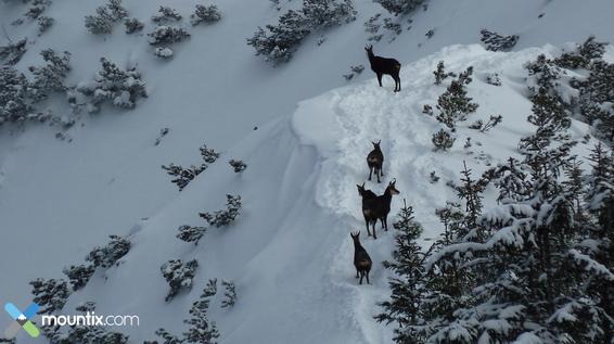 Bildergalerie: User präsentieren ihre eindrucksvollsten Fotos auf mountix.com / Bild: Sibylle Ruhland