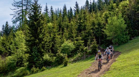 Mountainbike Trail Weissensee / Bild: Steinthaler
