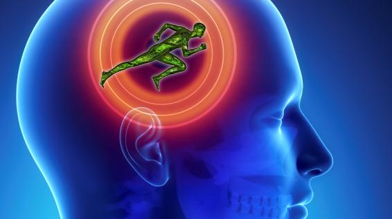 Runner's High: Körper erzeugt Cannabis-ähnliche Substanzen / Bild: iStock Runner's High: Körper erzeugt Cannabis-ähnliche Substanzen / Bild: iStock