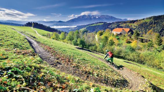 Singletrail Park Jamnica / Bild: Slowenien Tourismus