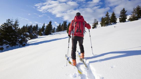 Skitourengehen: 8 Tipps zu Planung, Aufstieg und Abfahrt / Bild: iStock / rcaucino