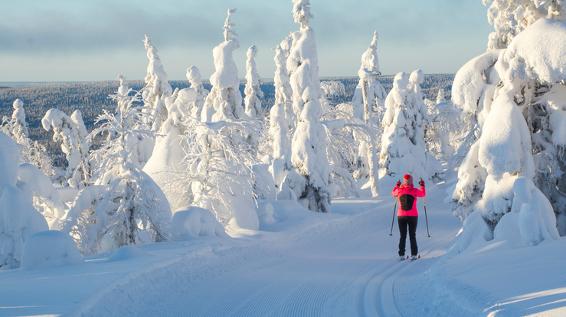 Positive gesundheitliche Effekte von 4 beliebten Wintersportarten / Bild: iStock / Sitikka