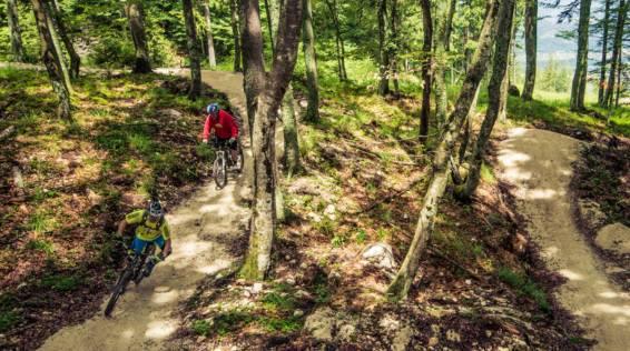 Trailparadies Kärnten: Paco Wrolich über "sein Bikeland" / Bild: Flow Country Trail Petzen