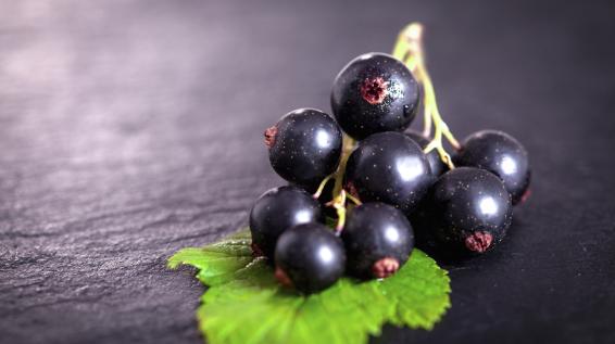 Superfood, nein danke: Das sind 3 gesunde und günstige Alternativen / Bild: iStock / circlePS Superfood, nein danke: Das sind 3 gesunde und günstige Alternativen / Bild: iStock / circlePS