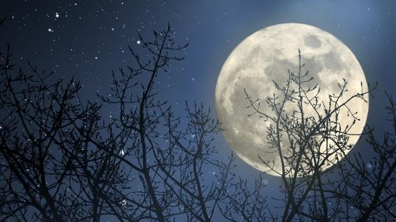 Vollmond / Bild: istock / johnnorth