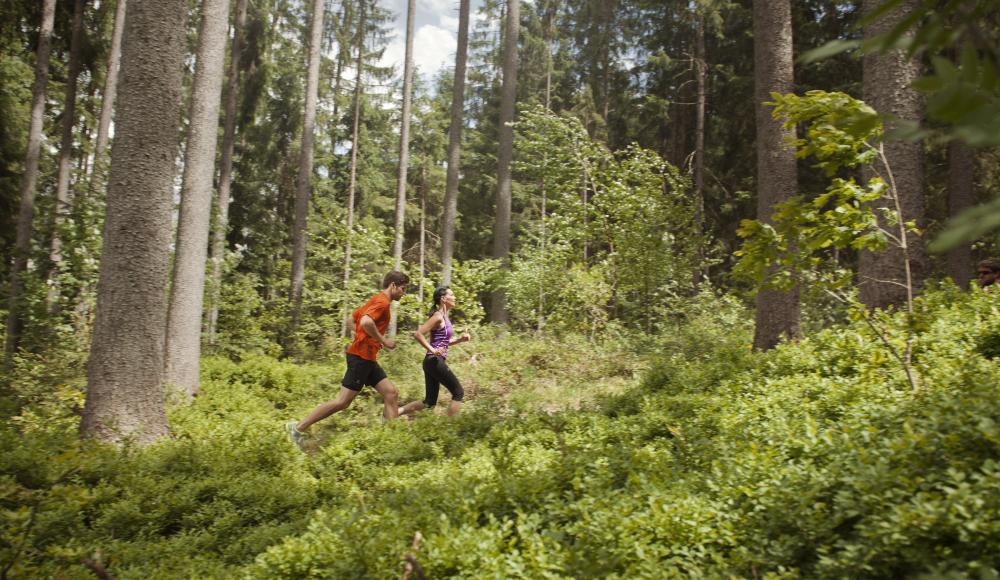 Trailrunning im Wald