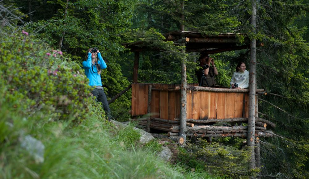 Outdoor Camp in Kärnten