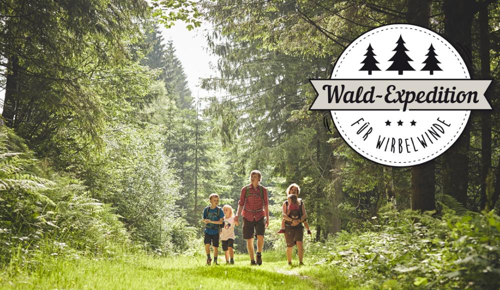 Wiener Alpen Wald-Expedition