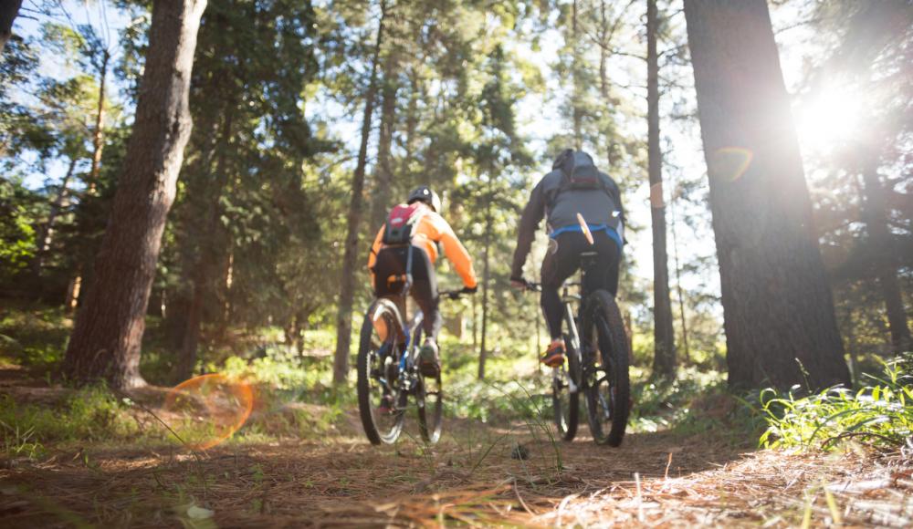 Mountainbiker im Wald