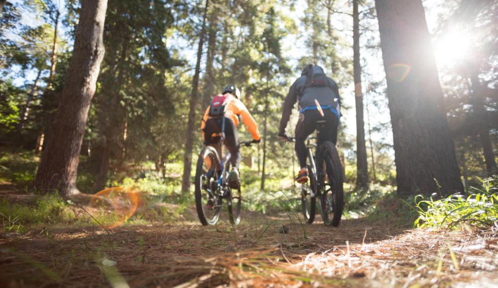 Mountainbiker im Wald