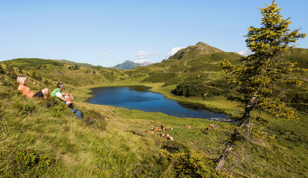 Höhenwandern: Warum du es unbedingt einmal gemacht haben musst