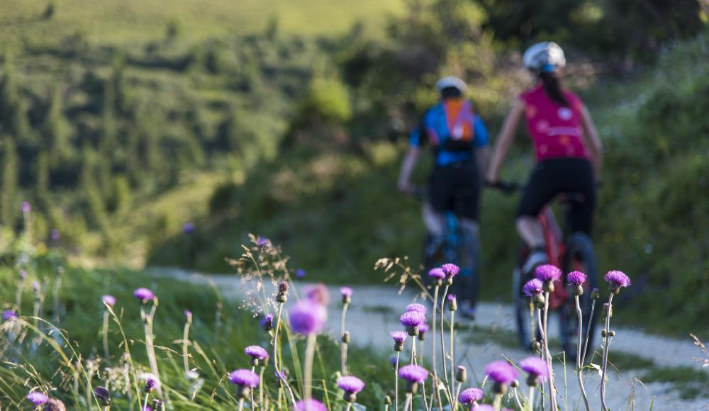 Bikeland Kärnten: Die Tourenregion Lavanttal kommt in den Flow