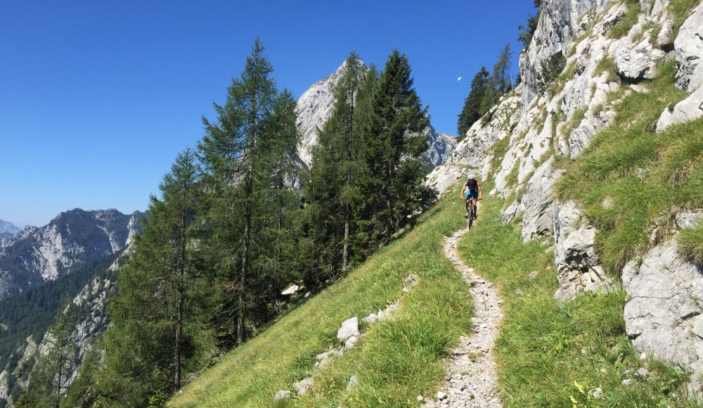 Malurch mit dem Mountainbike