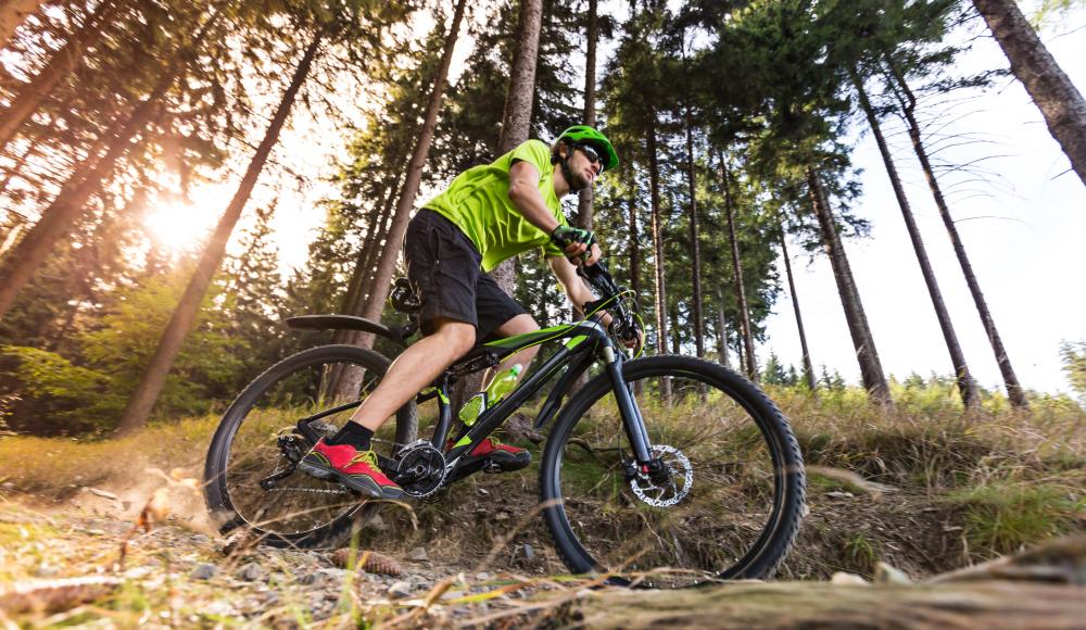 Besser Biken: Worauf achten bei der MTB-Fahrtechnik