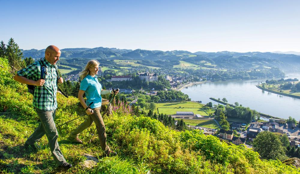 Blick auf Grein am Donausteig