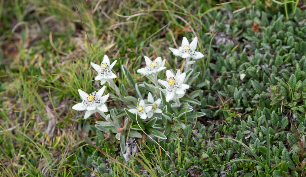 Nature-Watch-Touren: Die Natur einmal "anders" erleben