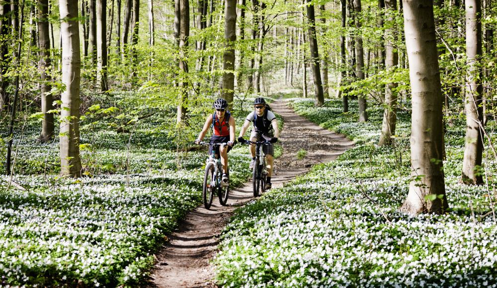 4 gute Gründe, warum du jeden Tag radfahren solltest