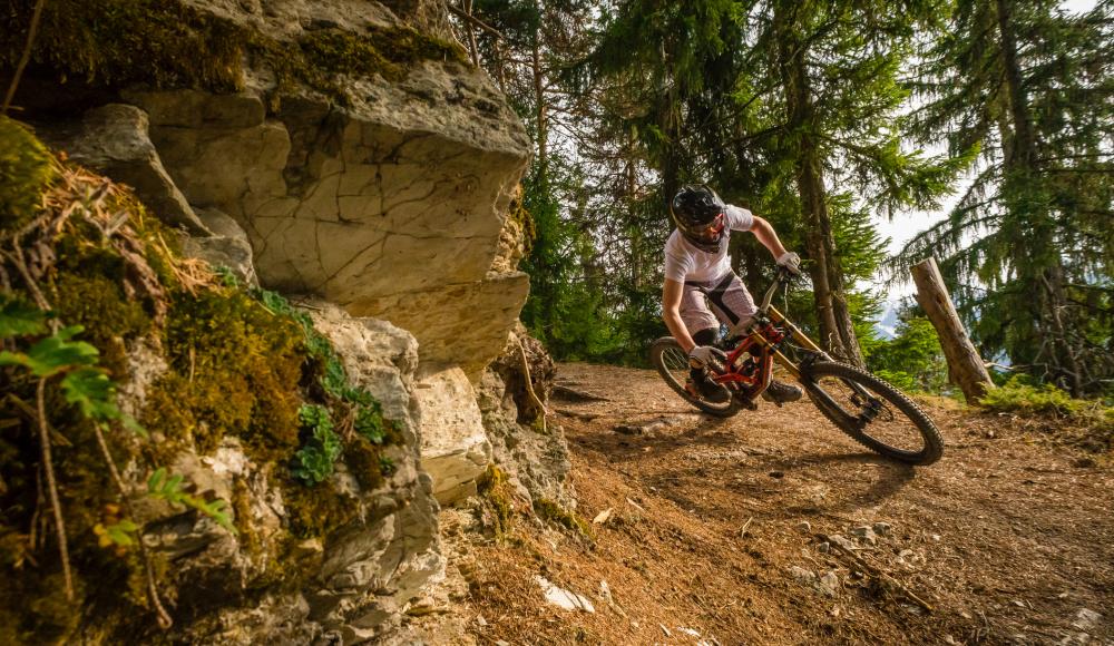 So findest du das Mountainbike, das wirklich zu dir passt