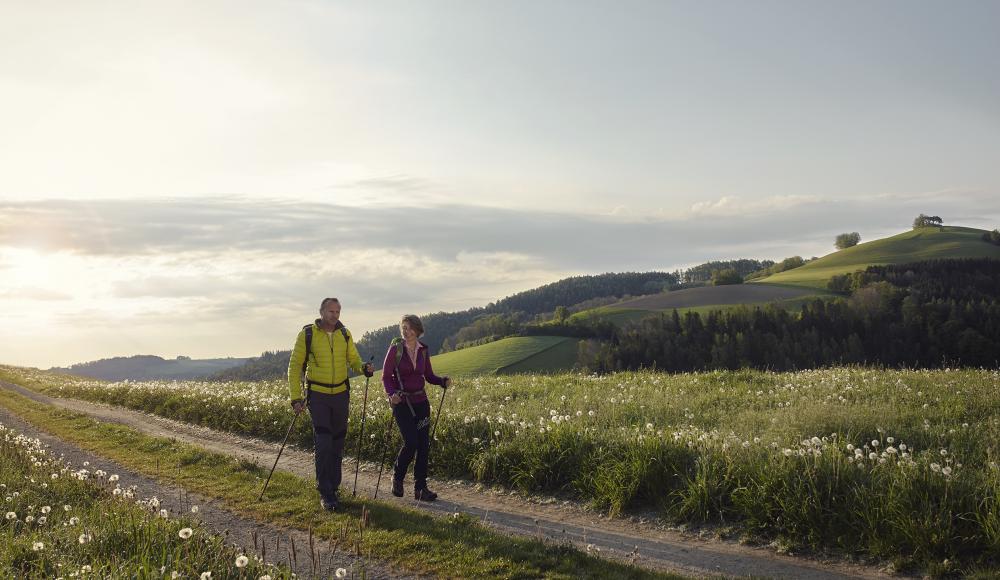 So wanderbar: Vielfältige Weitwanderwege erwarten dich in den Wiener Alpen