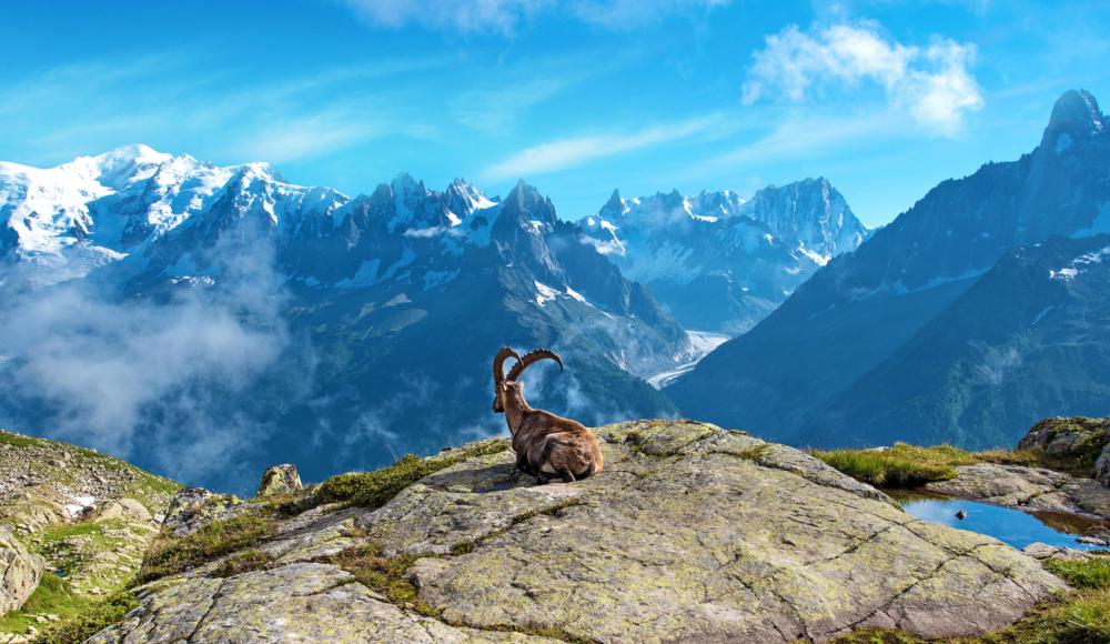 Berge österreich Berge österreich