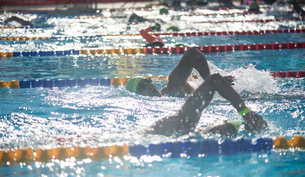 24-Stunden-Schwimmen: Länge um Länge für den guten Zweck