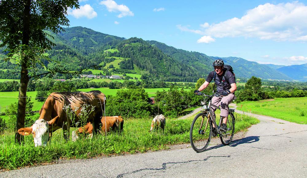 Tourenradeln Murradweg