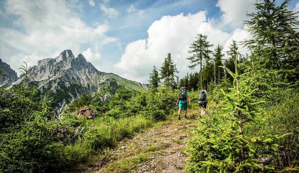 Wandern in der Wildnis: Luchstrail