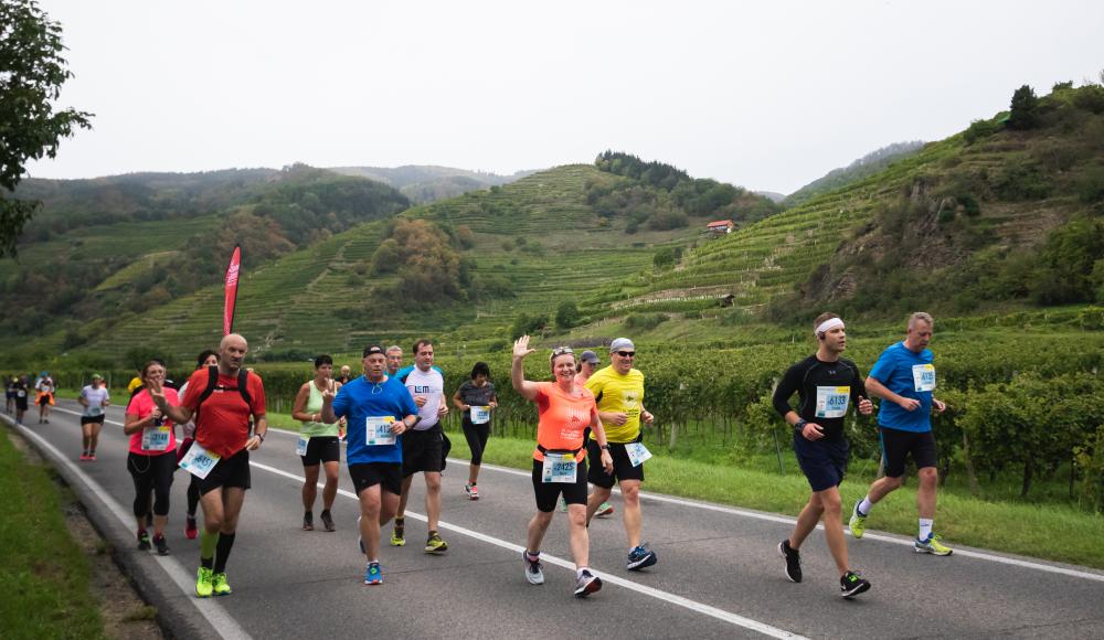Wachau Marathon 2019